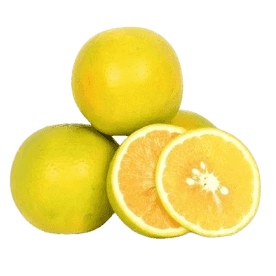 Basket of Orange x1 (50pcs)