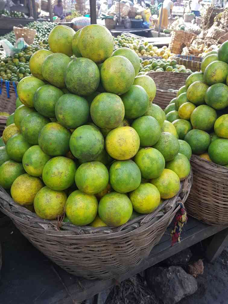 Basket of Orange x1 (50pcs)