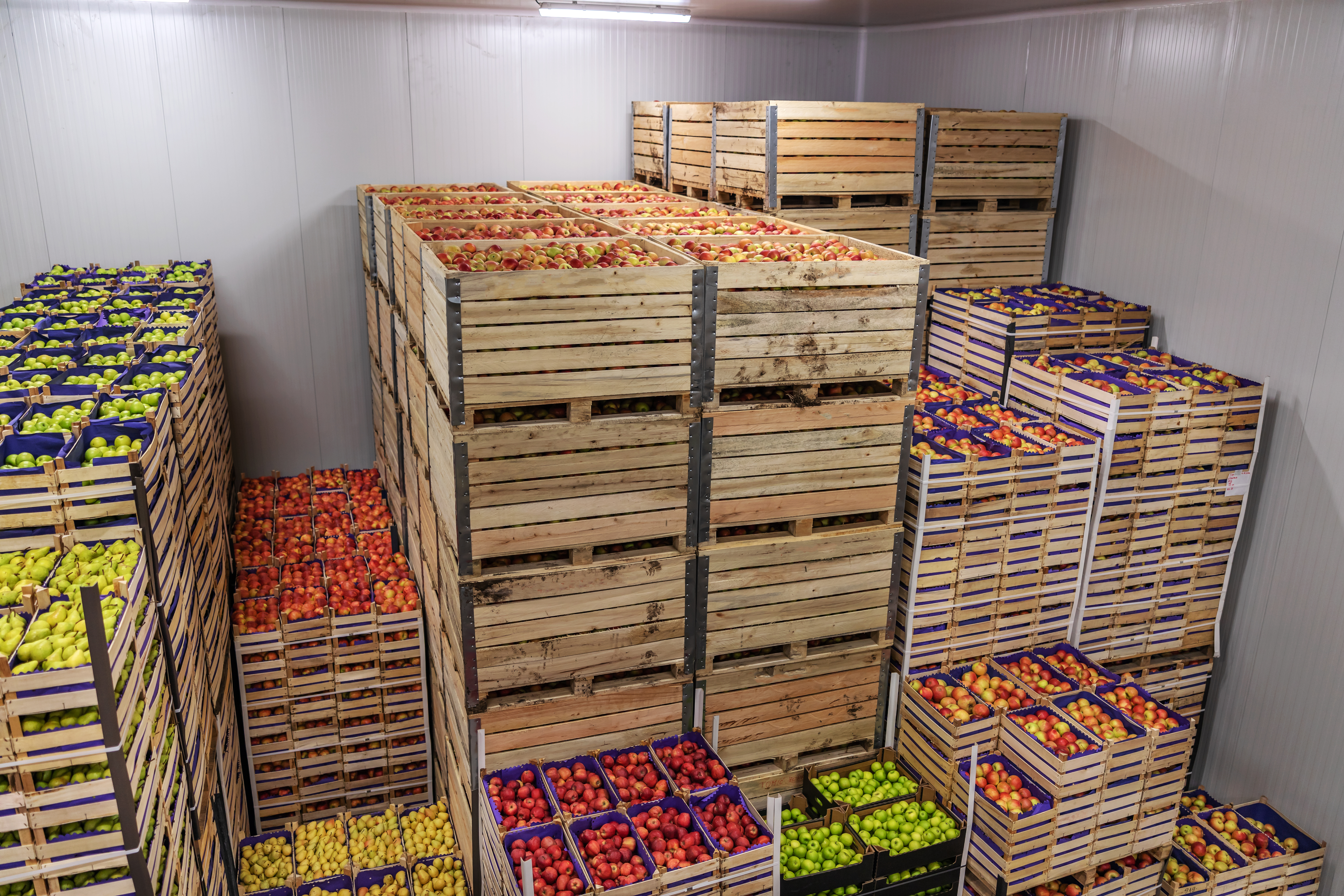 Well equipped (br)  (Warehouse) to store (br)  food Items from (FARMS)