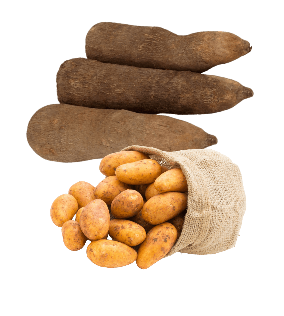 Tubers