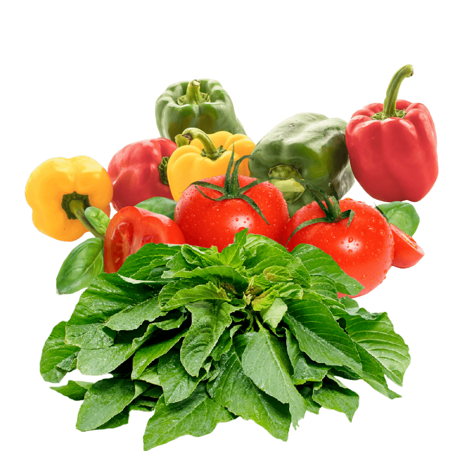 Vegetables